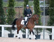 Novella del Castegno Tosc Tour2013- S5 1888 : Arezzo, Cavalli d'Italia, Novella del Castegno, Toscana Tour 2013, foto di Stefano Secchi ©